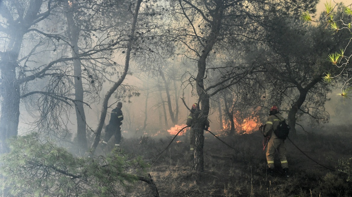 Φωτιά στη Χαλκίδα: Βίντεο με τις κινήσεις 52χρονου εμπρηστή 