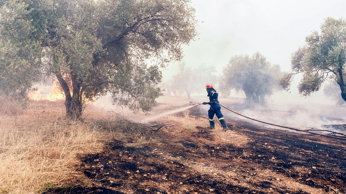 Εύβοια: Προσήχθη 17χρονος για εμπρησμό στα Ψαχνά - Τον κατέγραψε κάμερα