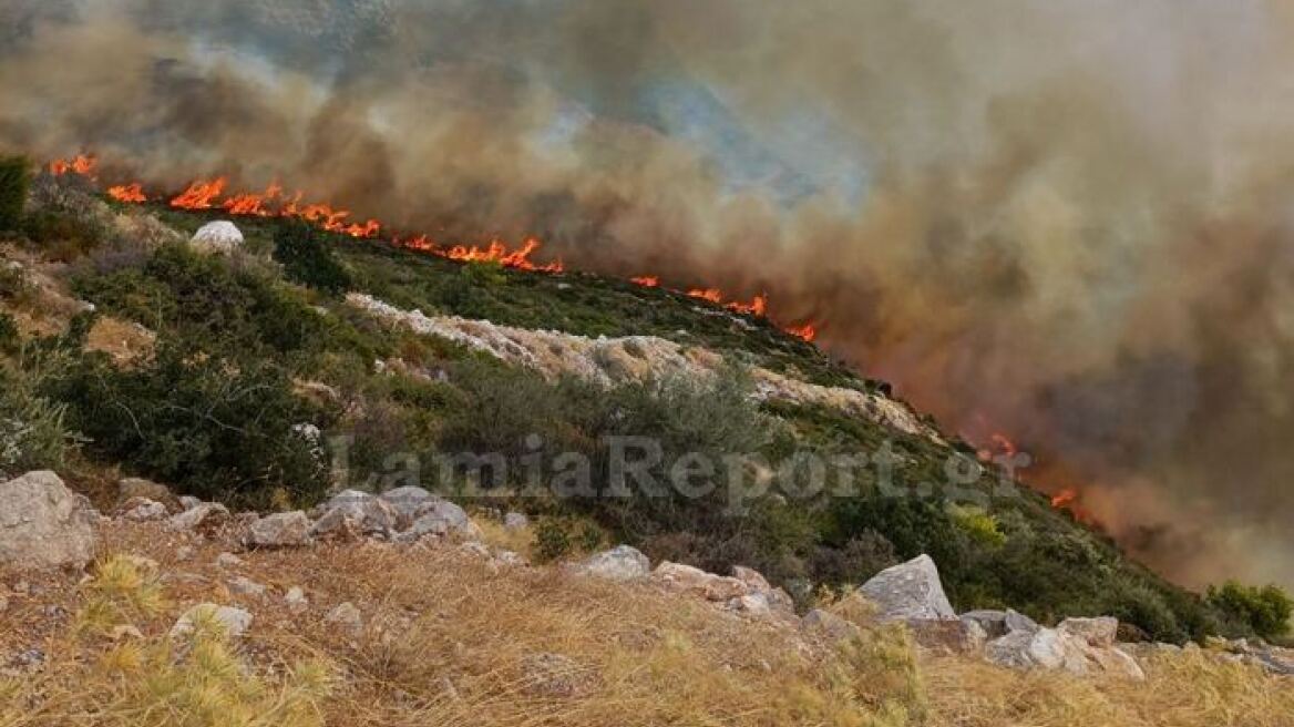 Φωτιά σε δύσβατη περιοχή στη Γκάτζα του δήμου Λοκρών - Επιχειρούν και εναέρια μέσα