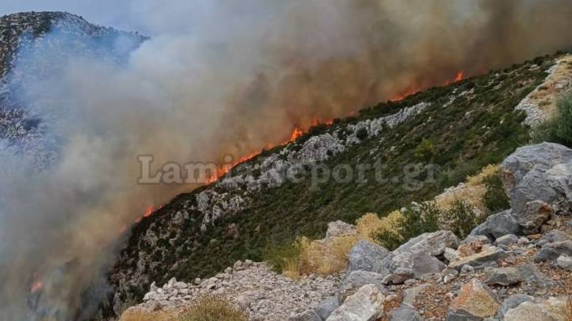 Υπό έλεγχο η φωτιά που ξέσπασε σε δύσβατη περιοχή στη Γκάτζα του δήμου Λοκρών