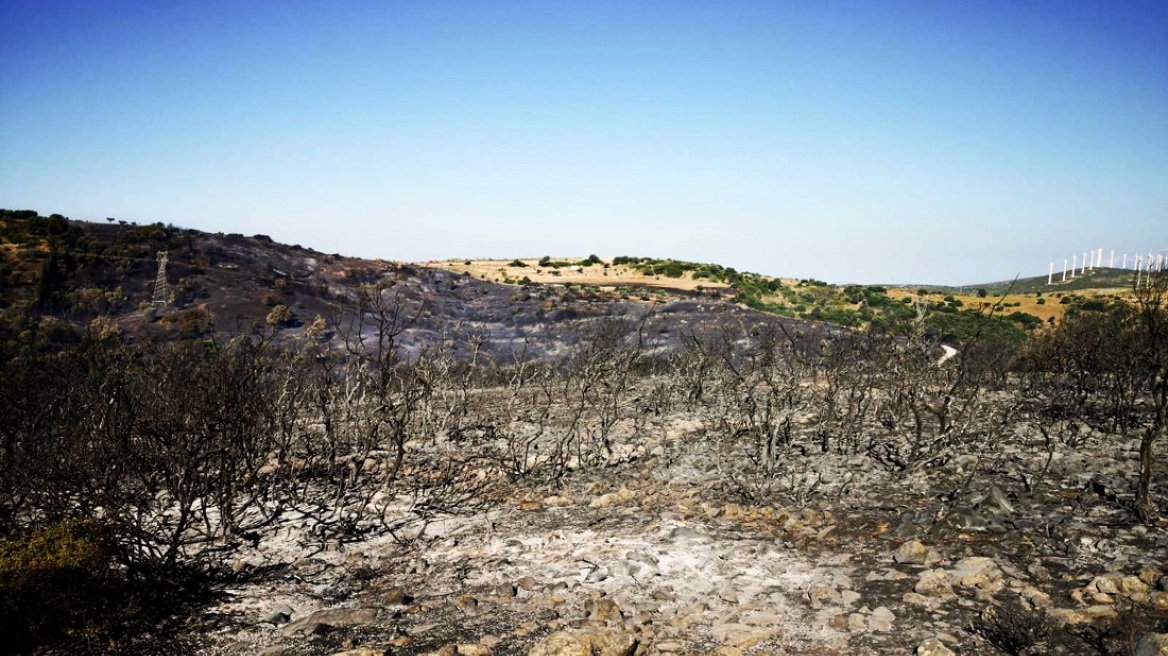 Φωτιές στην Κάρυστο: Προφυλακίστηκε ο 20χρονος που προκάλεσε πέντε πυρκαγιές από πρόθεση