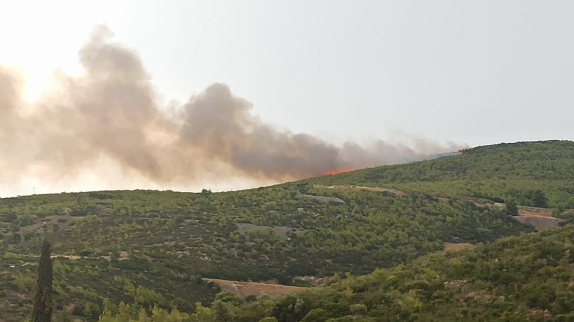 Οριοθετήθηκαν τα μέτωπα σε Γραμματικό, Βαρνάβα και Μαραθώνα - Ξεκίνησαν από κεραυνό