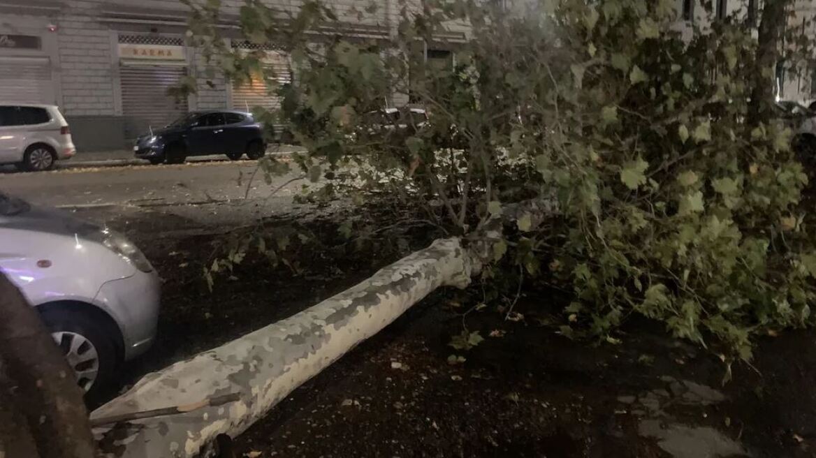 Μιλάνο: Σφοδρή νεροποντή - Έπεσαν δέντρα, ζημιές σε στέγες σπιτιών