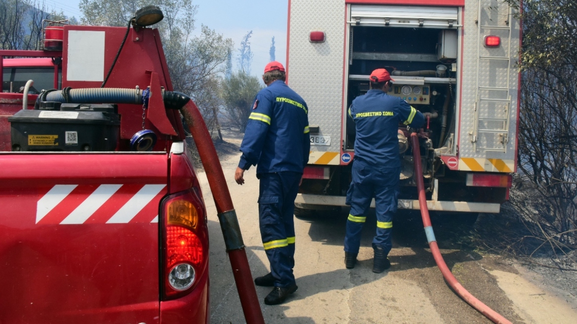 Χαλκιδική: Σε εξέλιξη φωτιά κοντά την Κασσανδρεία - Απειλείται φωτοβολταϊκό πάρκο