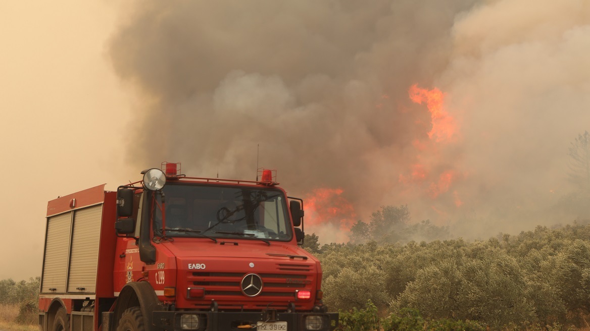 Φωτιά στον Έβρο: Κυβερνητικό κλιμάκιο τη Δευτέρα στις καμένες εκτάσεις 