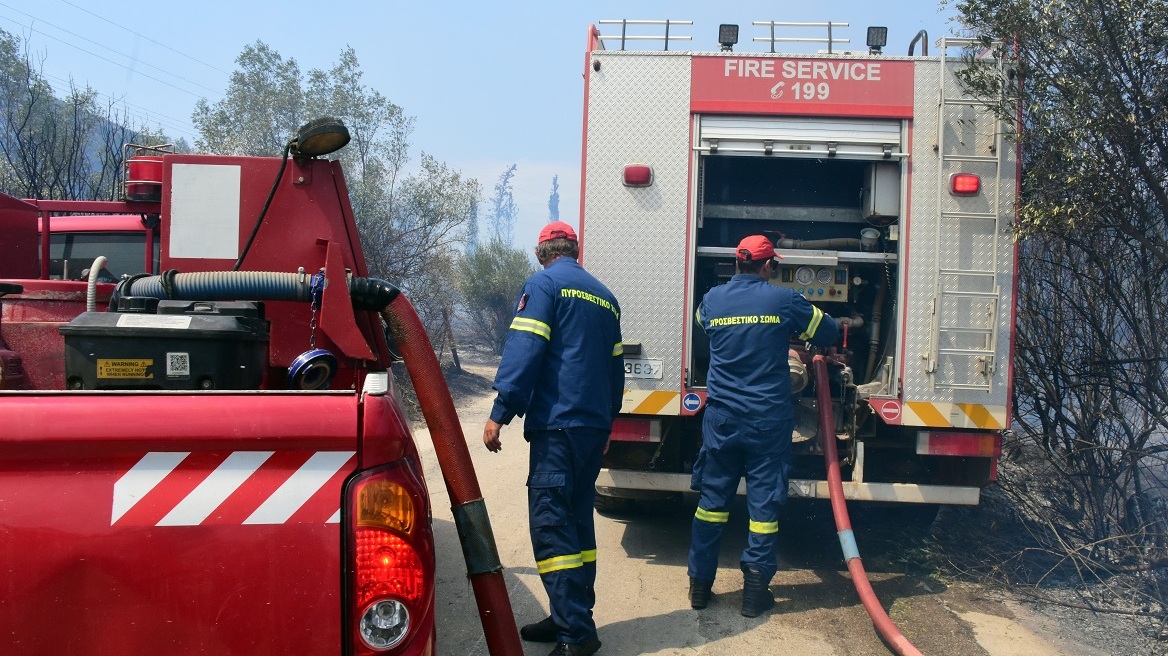 Φωτιές: Αναζωπυρώσεις σε Έβρο, Ροδόπη και Βοιωτία