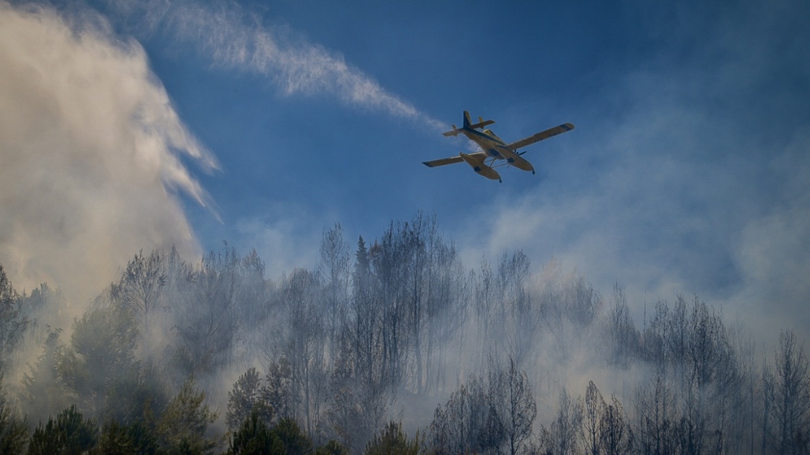 Σε εξέλιξη για 11η μέρα η φωτιά στον Έβρο, αναζωπυρώσεις και στη Ροδόπη - Ενεργές καύσεις σε Πάρνηθα και Βοιωτία