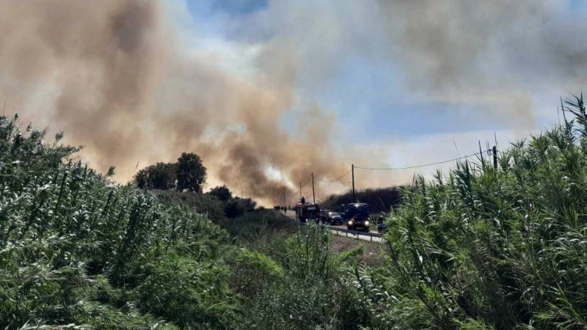 Φωτιά στη Μεσσηνία: Κοντά στον οικισμό της Ασπροπουλιάς η φωτιά - Μήνυμα του 112  (βίντεο)