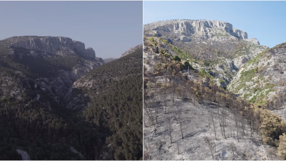 Φυλή: Το πριν και το μετά της μεγάλης καταστροφής από την πυρκαγιά – Δείτε βίντεο από drone