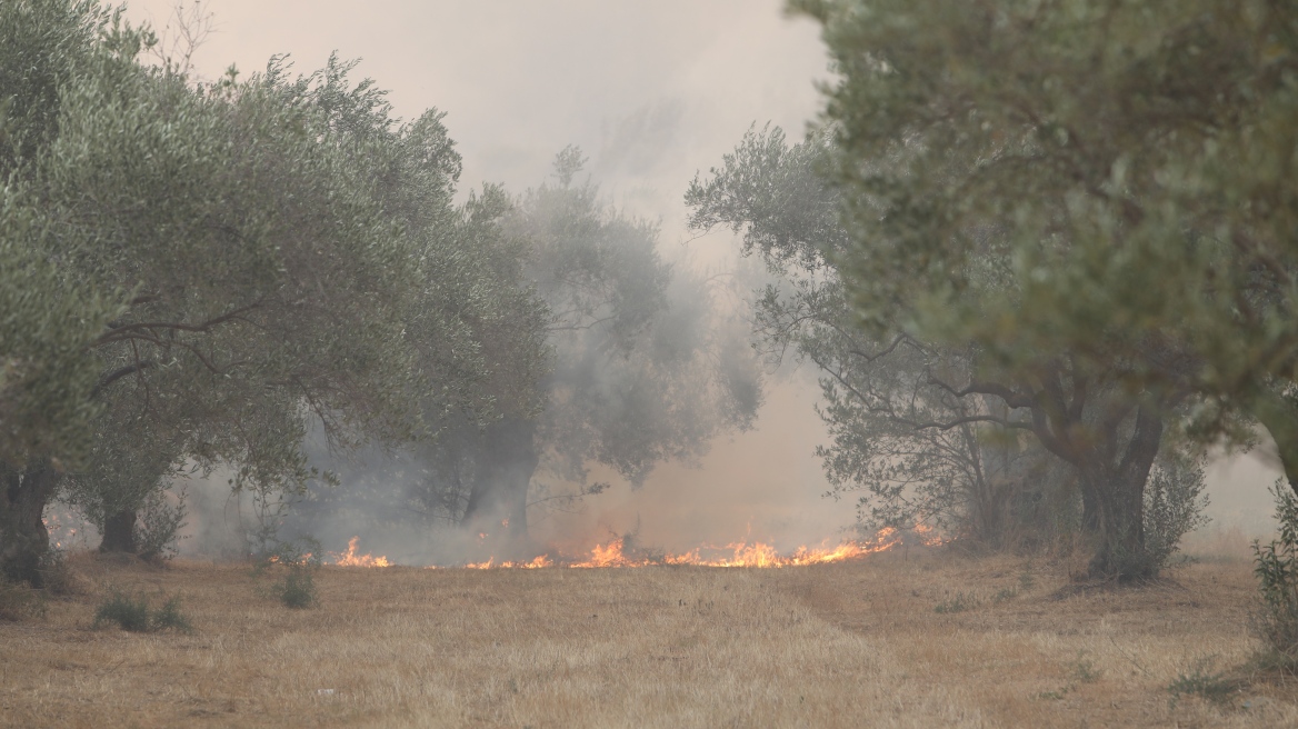 Φωτιά στον Έβρο: Βόρεια του Σουφλίου το μέτωπο της πυρκαγιάς - Στη μάχη 10 εναέρια μέσα