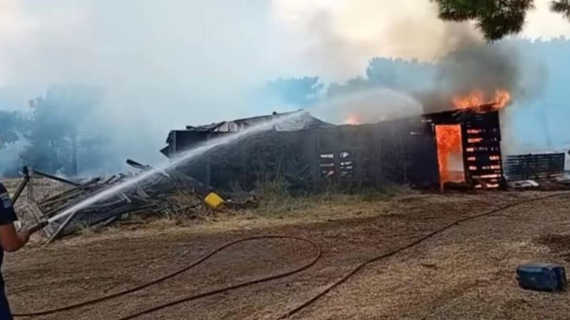 Φωτιά στον Έβρο: Μήνυμα για εκκένωση στη Λευκίμμη για δεύτερη φορά