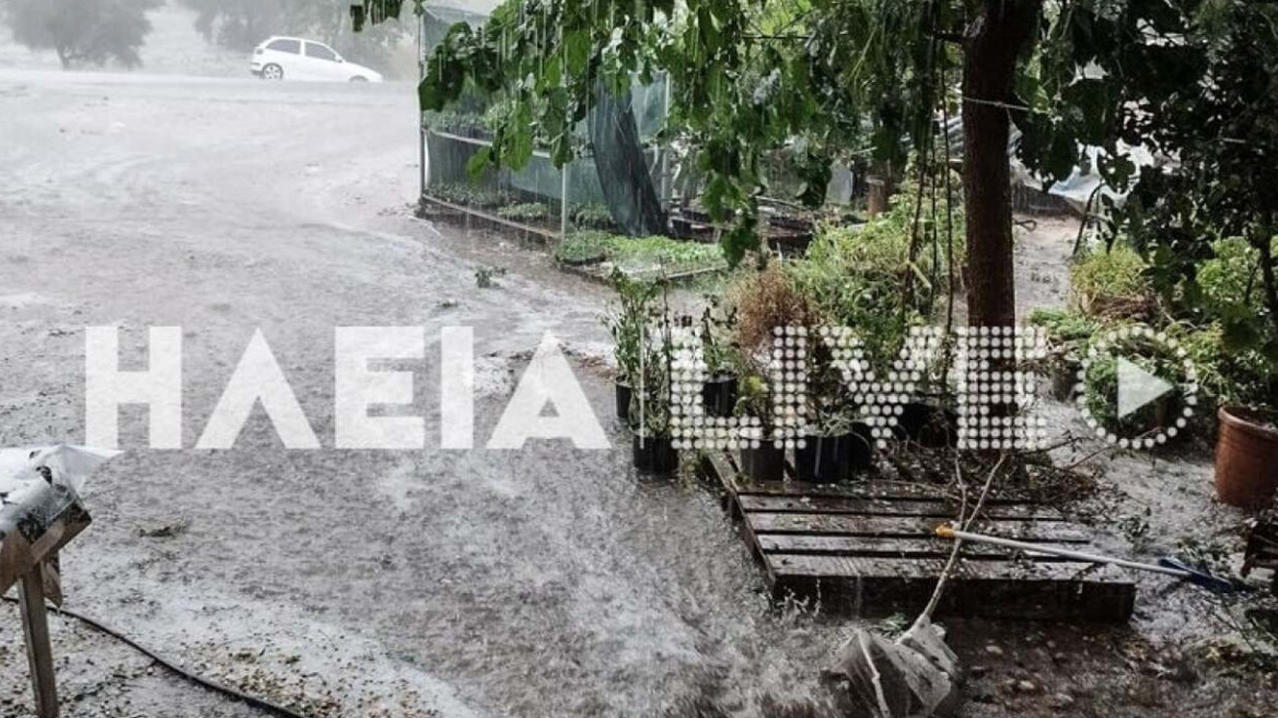 Kακοκαιρία «Daniel»: Μεγάλες καταστροφές στις καλλιέργειες της Ηλείας από το πυκνό χαλάζι (βίντεο)