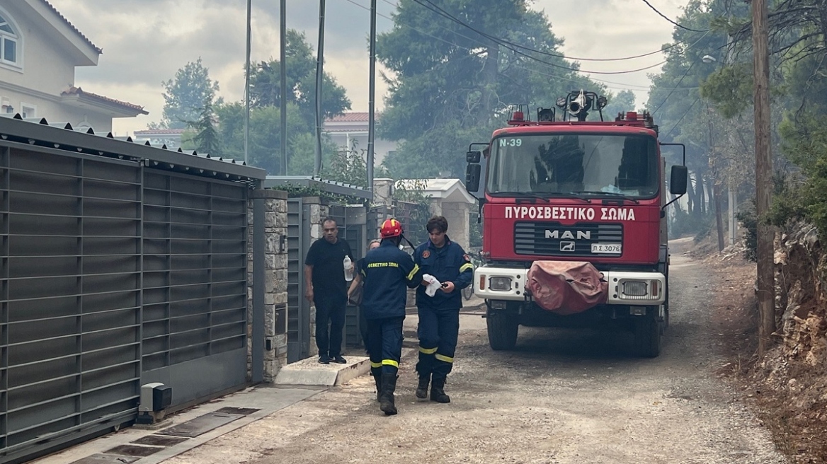 Φωτιά στη Σταμάτα: Υπό μερικό έλεγχο η πυρκαγιά, έφτασε μέχρι τις αυλόπορτες - Βίντεο και φωτογραφίες