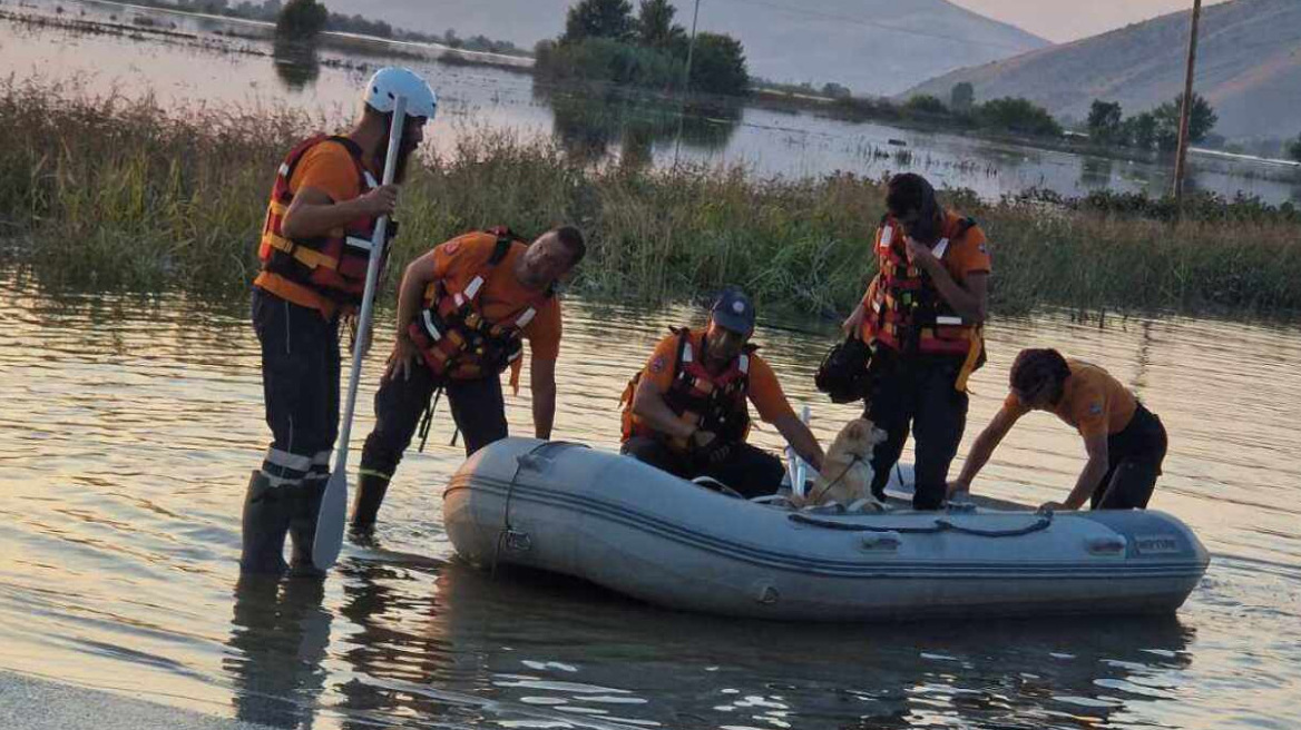 Επίλεκτες ομάδες βοηθούν στις πληγείσες περιοχές μετά την κακοκαιρία «Daniel» - Δείτε φωτογραφίες