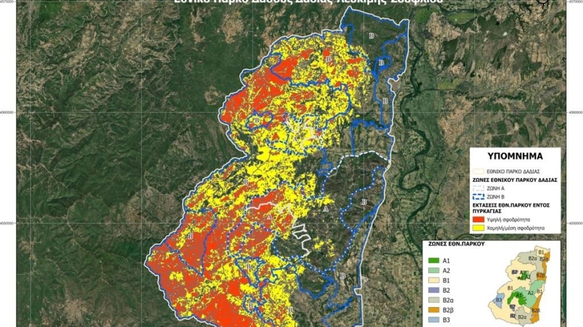 Δαδιά: Το 23% του δάσους έχει υποστεί σοβαρές καταστροφές – Άκαυτο το 42%
