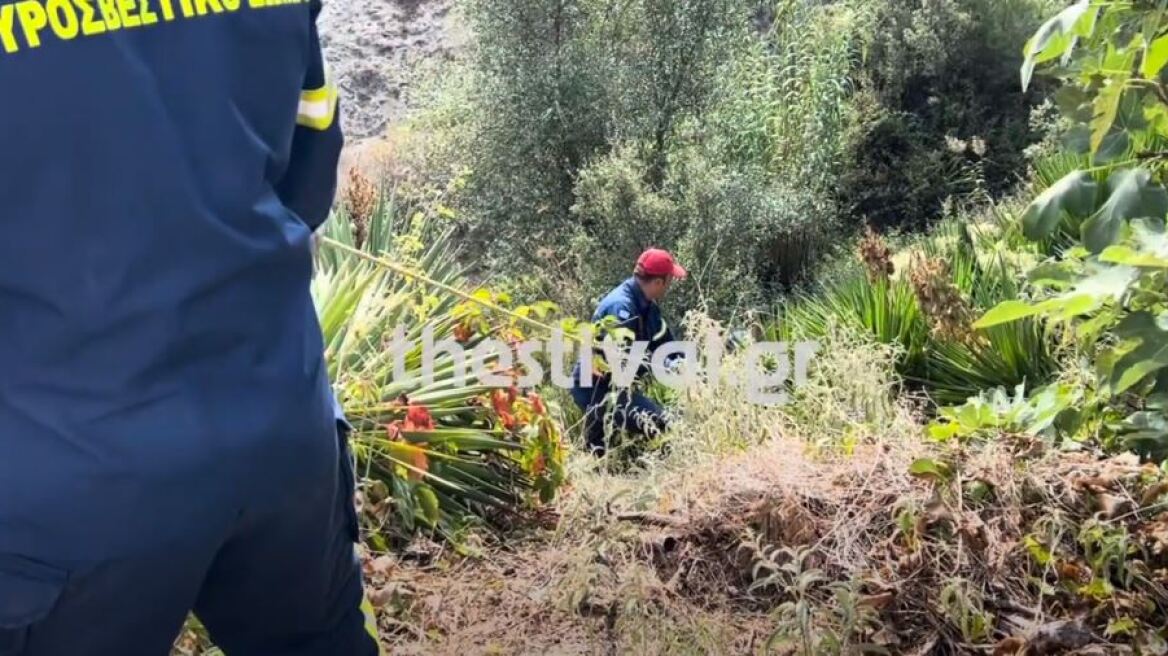 Ωραιόκαστρο: Συναγερμός για 82χρονο που έπεσε σε γκρεμό 10 μέτρων - Δείτε βίντεο από τη διάσωση