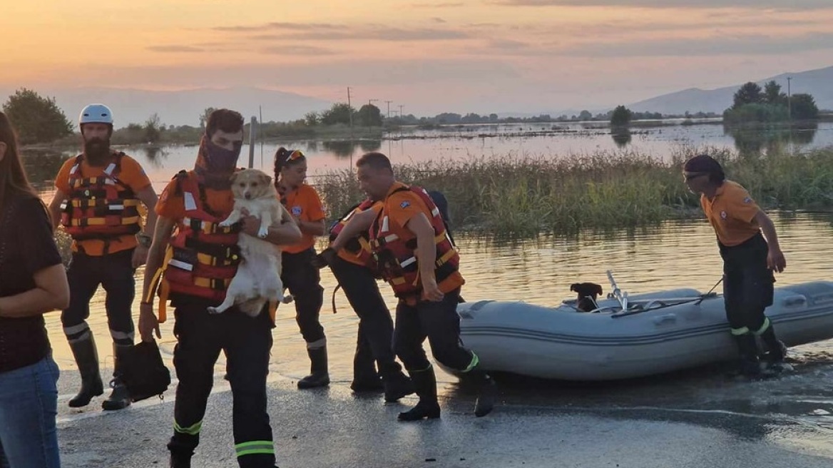 Κακοκαιρία «Daniel»: «Τέτοιες πλημμύρες μόνο στη Νέα Ορλεάνη από την τηλεόραση» - Διασώστες μιλούν για τη Θεσσαλία