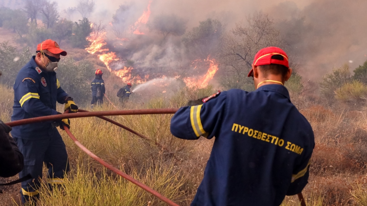 Έχουν εκδηλωθεί 6.200 αγροτοδασικές πυρκαγιές στην Ελλάδα από την έναρξη του 2023