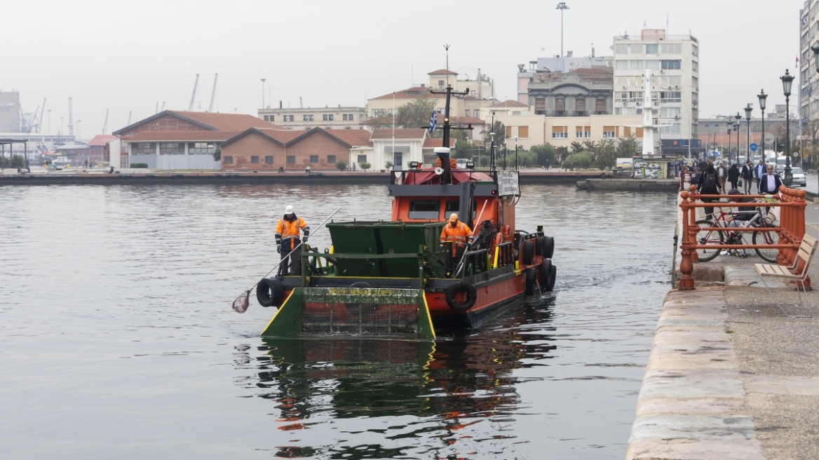 Πλημμύρες στη Θεσσαλία: Δεν ανιχνεύτηκαν παθογόνα μικρόβια σε αλιεύματα από τον Θερμαϊκό