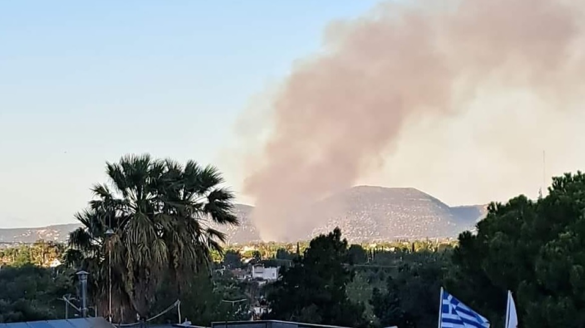 Φωτιά στον Μαραθώνα: Υπό μερικό έλεγχο η πυρκαγιά κοντά στο κωπηλατοδρόμιο