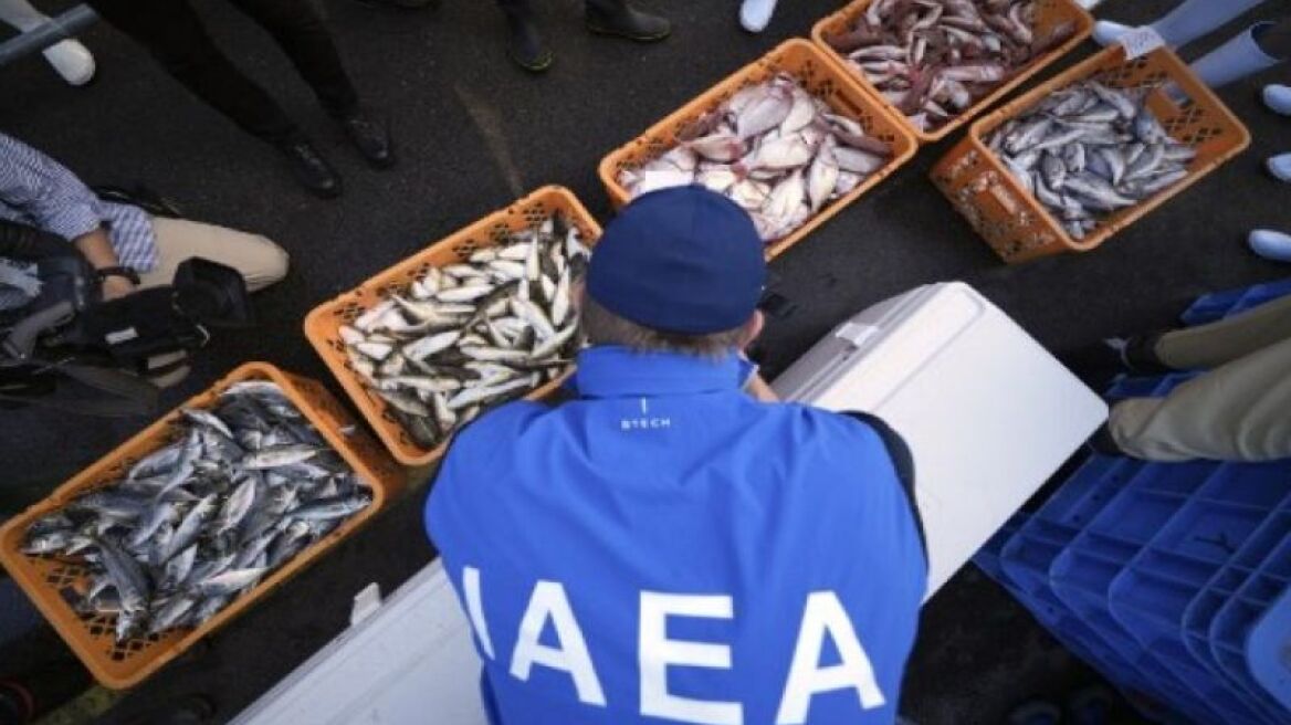 Φουκουσίμα: Δείγμα ψαριών έλαβε ο ΙΑΕΑ για την εξέταση των υδάτων που απορρίπτει ο πυρηνικός σταθμός