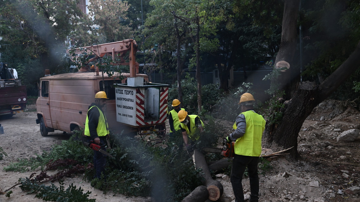 Εξάρχεια: Αντιδράσεις για κοπές δένδρων