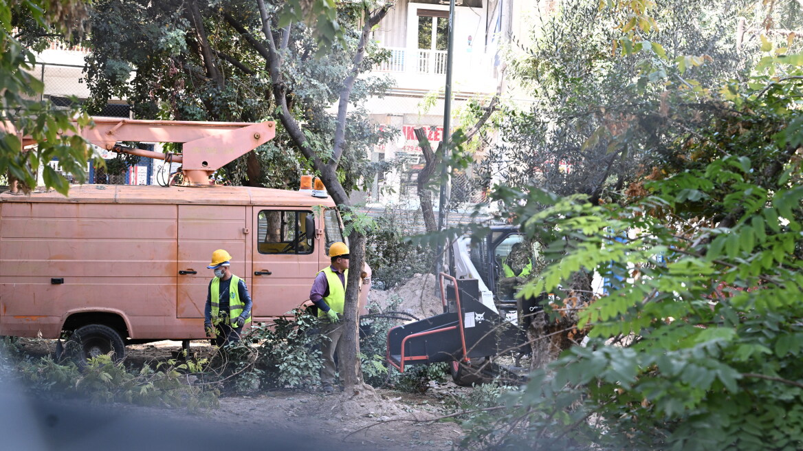 Δήμος Αθηναίων: Υπεγράφη η σύμβαση για την προμήθεια 2.975 νέων δέντρων για το Μετρό