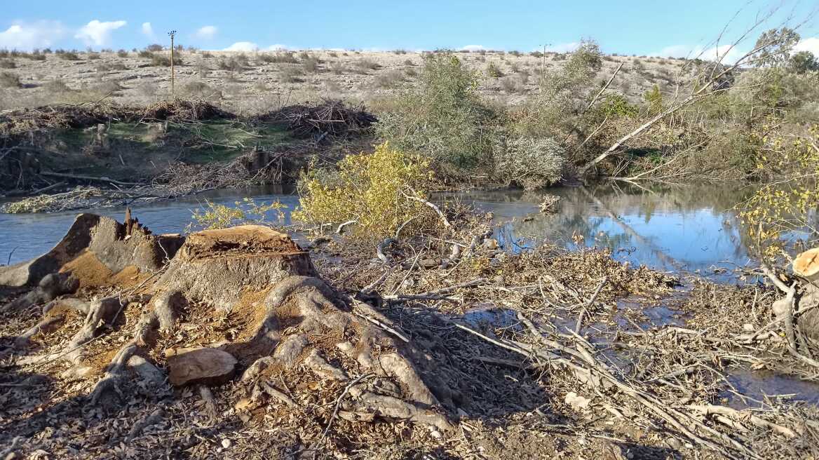 Σέρρες: Διαμαρτυρία για την κοπή αιωνόβιων πλατανιών στον ποταμό Αγγίτη