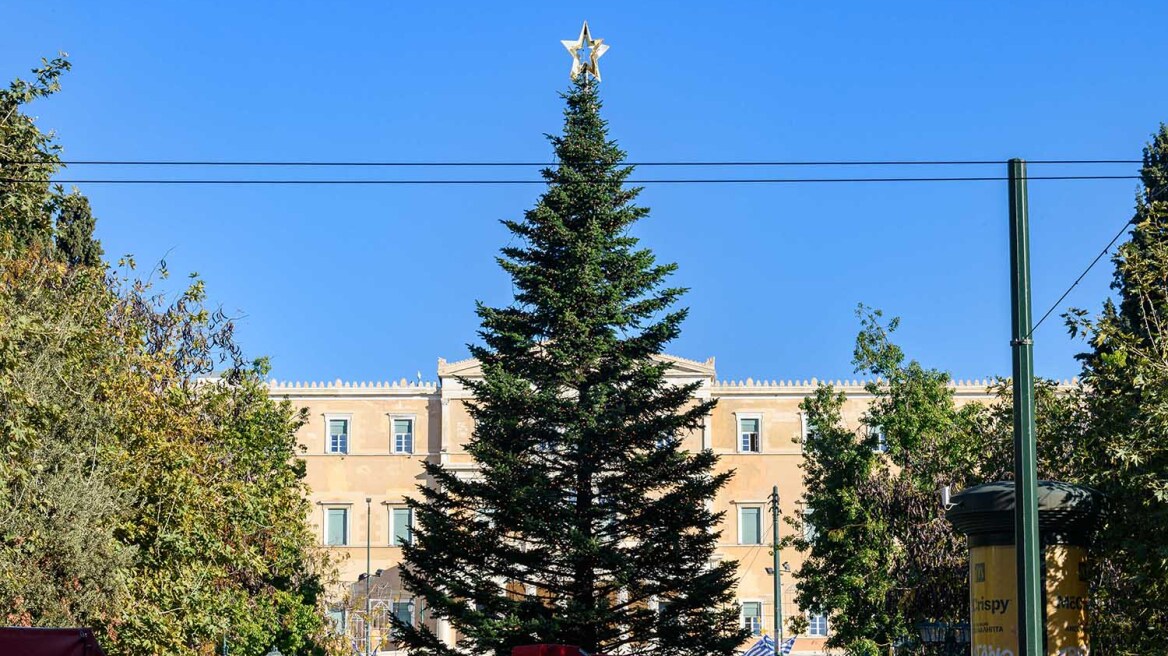 Δήμος Αθηναίων: Την Πέμπτη στις 18.00 ανάβει το Χριστουγεννιάτικο δέντρο στο Σύνταγμα - Φωταγωγείται η πόλη από άκρη σε άκρη