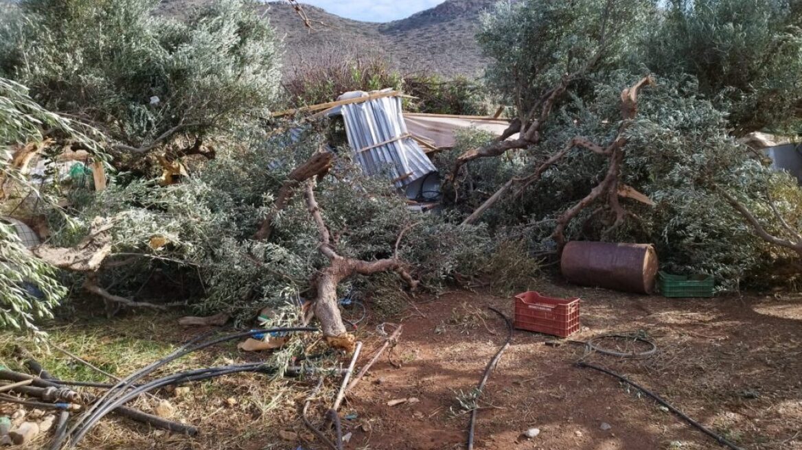 Ζημιές σε θερμοκήπια και ελιές προκάλεσαν οι ισχυροί άνεμοι στα Φαλάσαρνα Κισσάμου - Δείτε φωτογραφίες