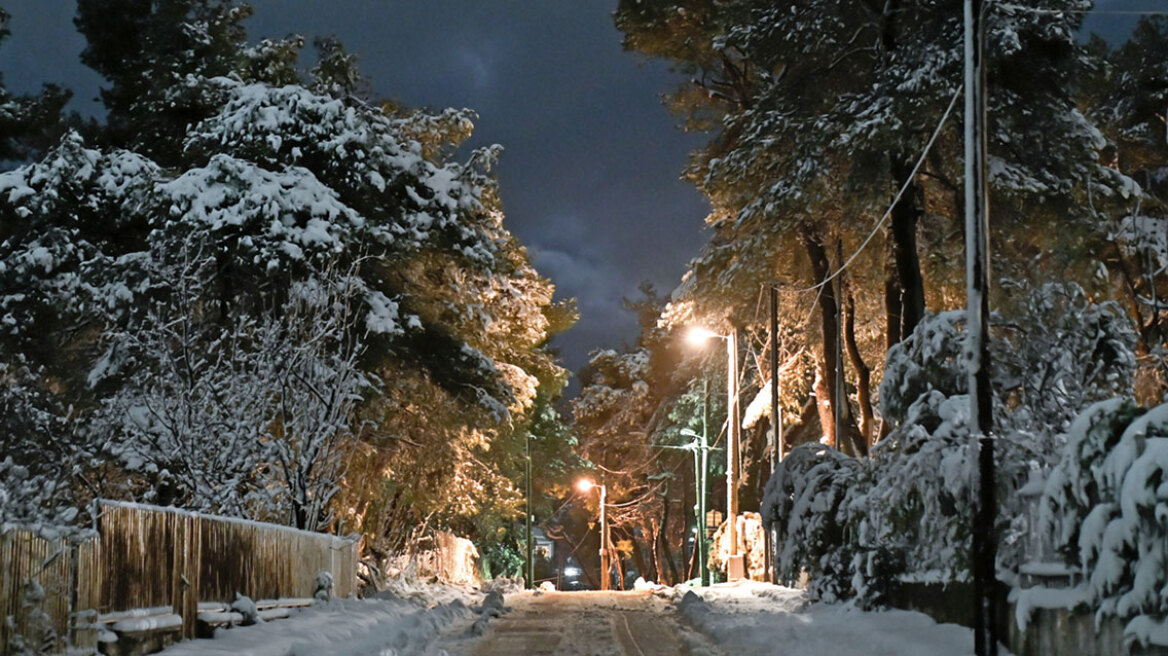 Kακοκαιρία Bettina: Πυκνή χιονόπτωση σε Κοζάνη και Φλώρινα, Πτολεμαΐδα (βίντεο)