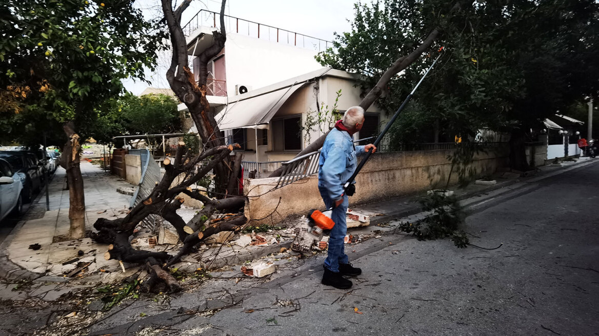 Κακοκαιρία στην Αττική: Πάνω από 50 κλήσεις στην Πυροσβεστική για δέντρα