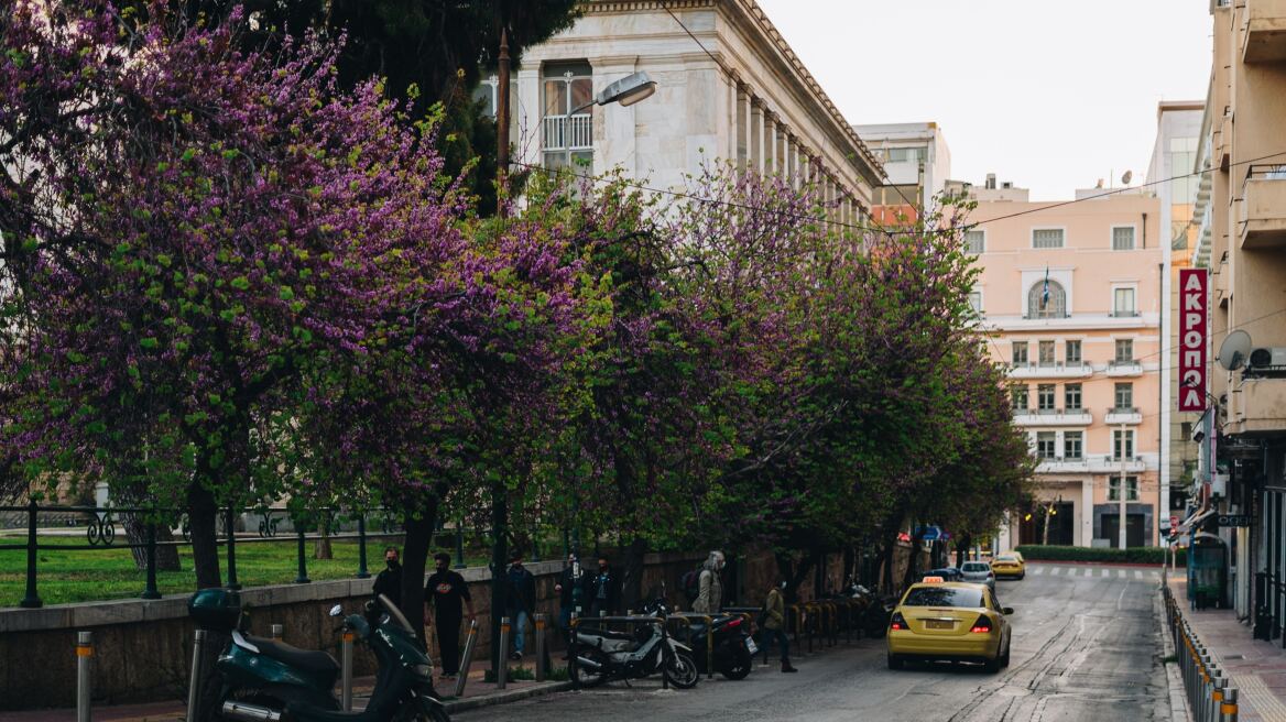 48ωρη απεργία στα ταξί - Δείτε πότε δεν θα κυκλοφορούν