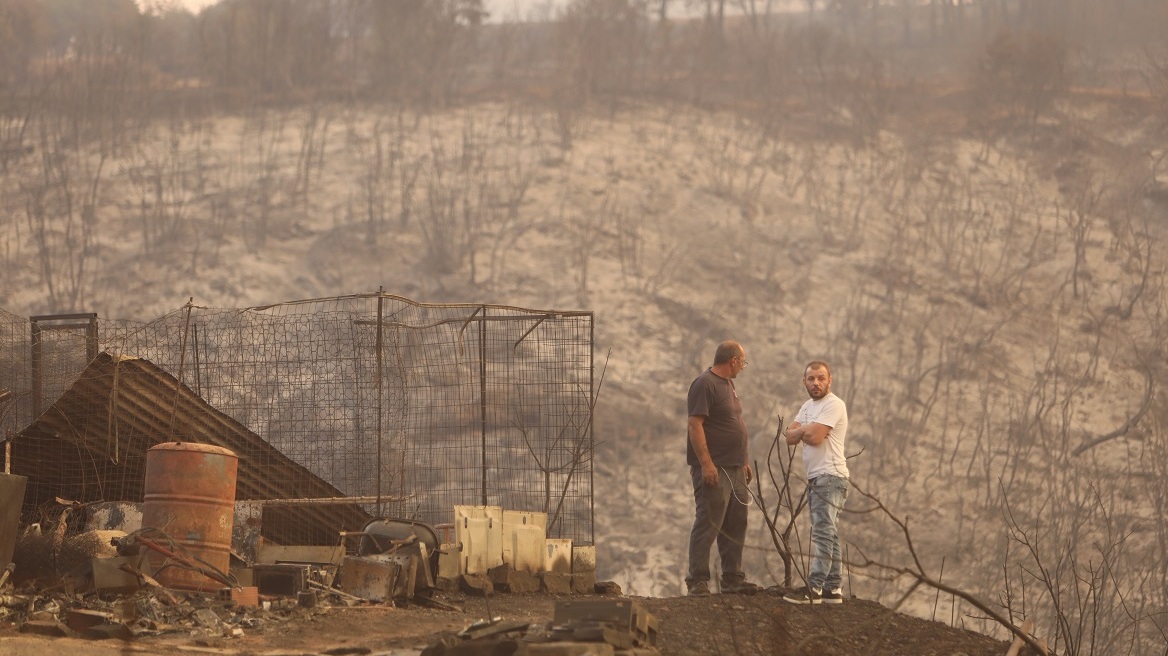 WWF: Μελέτη αποκατάστασης για τα 935.000 καμένα στρέμματα στον Έβρο