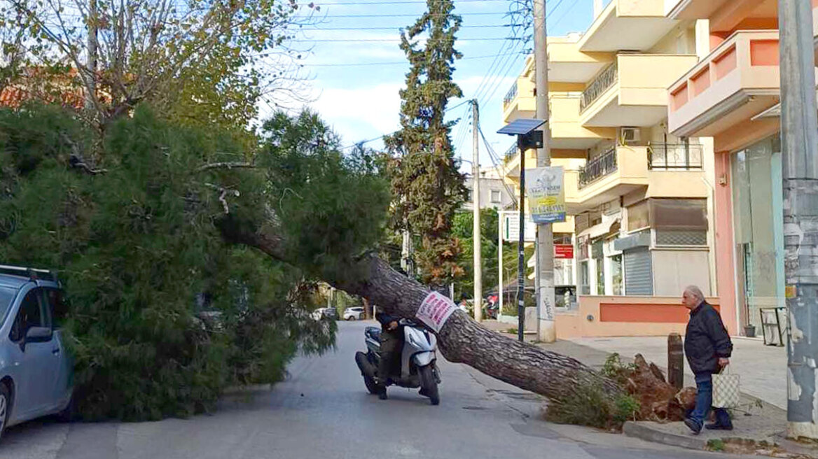 Νέο έκτακτο από την ΕΜΥ - Επιμένουν οι θυελλώδεις άνεμοι έως και 9 μποφόρ μέχρι το βράδυ