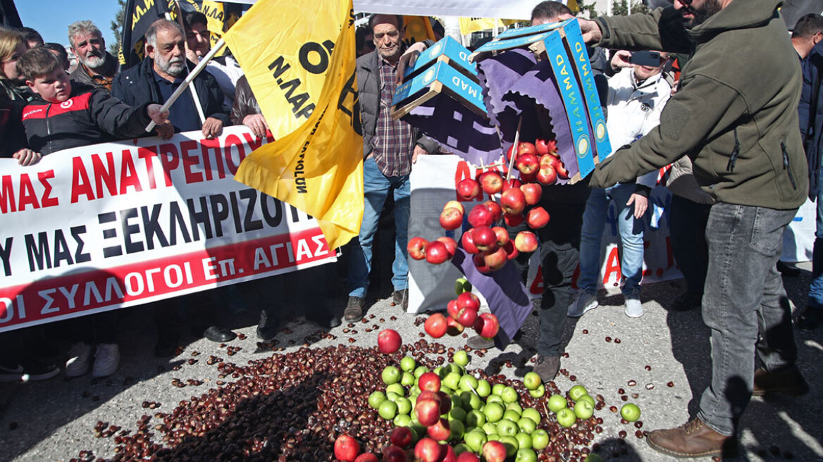 Αγροτικές κινητοποιήσεις: Μπροστά στη ΔΕΘ οι αγρότες και πορεία μέσα στην Agrotica - Ετοιμάζονται και για νέες κινητοποιήσεις