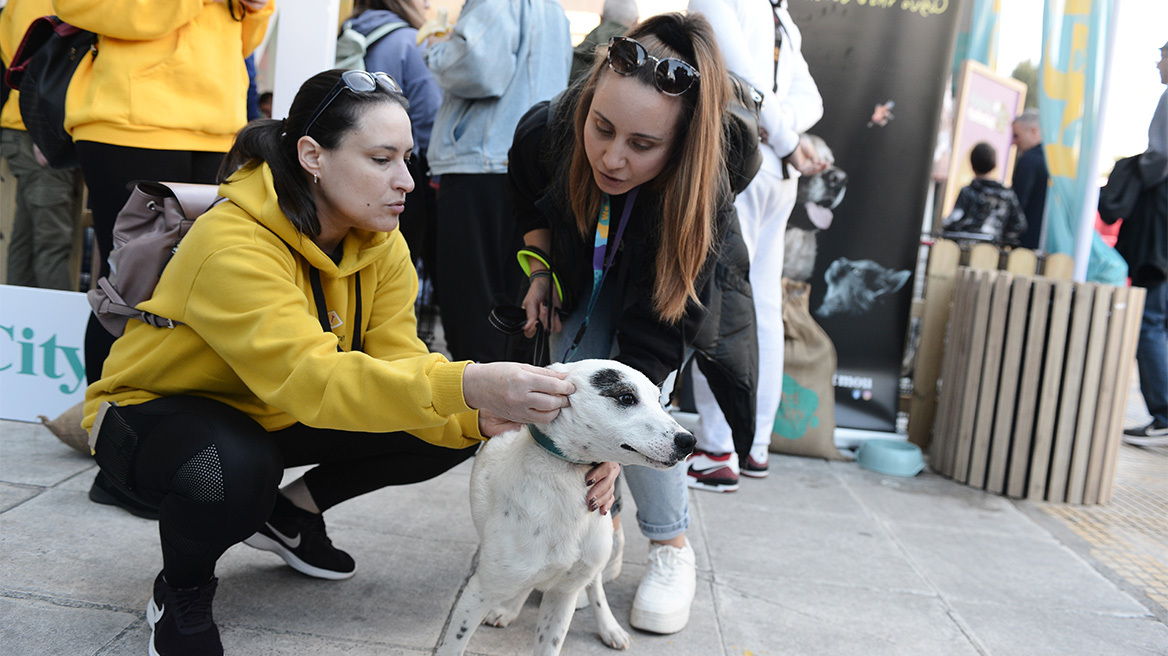 Στα Άνω Πατήσια η 14η Ημέρα Υιοθεσίας των Pet City - Αρωγός στην υπεύθυνη υιοθεσία και topetmou.gr