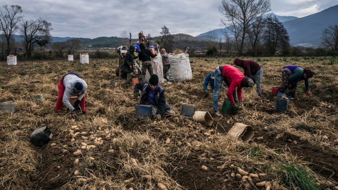 Σχεδόν 5.000 αιτήσεις για τη νέου τύπου άδεια διαμονής για εργασία σε πολίτες τρίτων χωρών