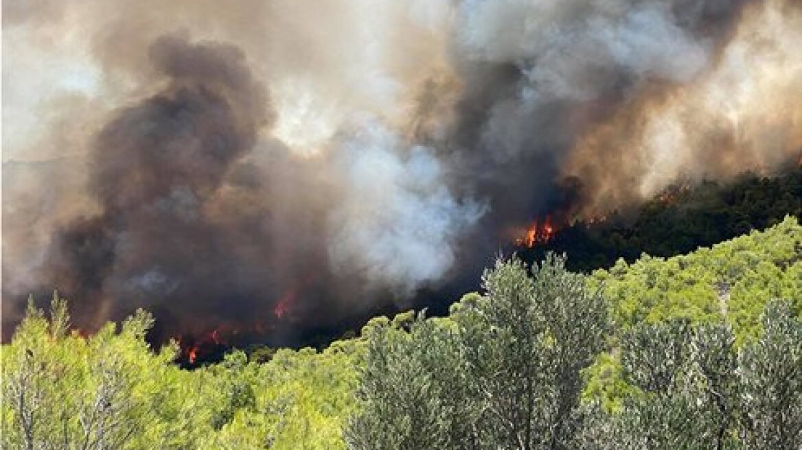 Φωτιά σε χορτολιβαδική έκταση στο Λαύριο