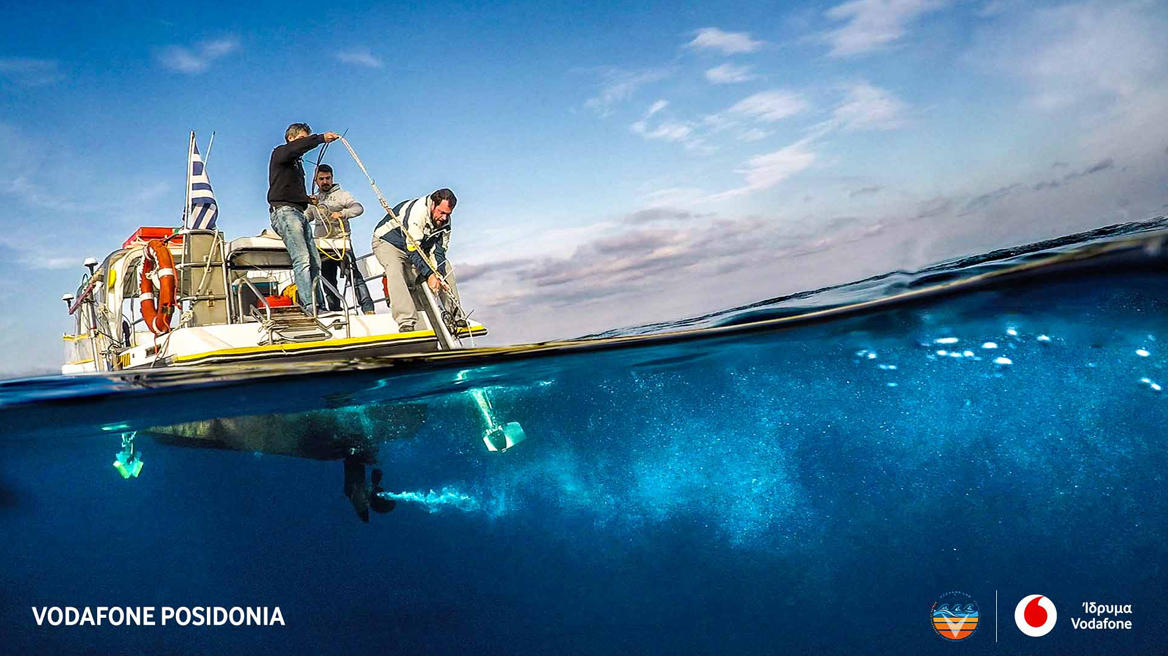 Τα λιβάδια της ελληνικής Ποσειδωνίας υπό την προστασία του Ιδρύματος Vodafone