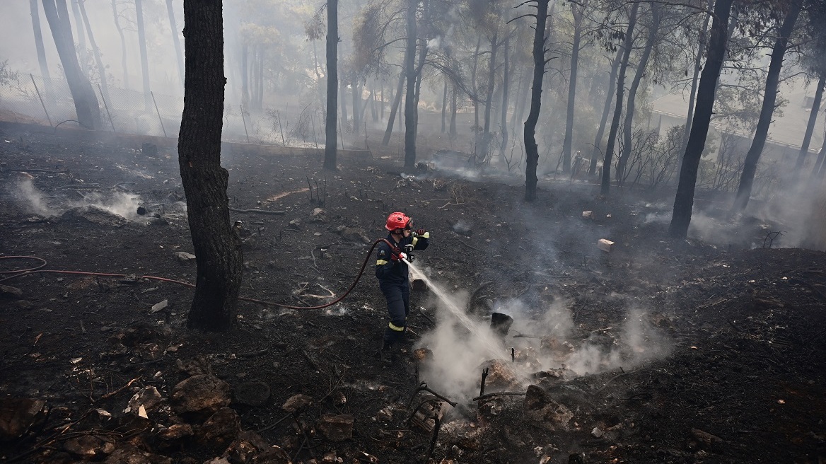 Εκδόθηκε η ΚΥΑ για την προκαταβολή 50% της κρατικής αρωγής για τις ζημιές σε φυτικό κεφάλαιο κατά τις πυρκαγιές του 2023