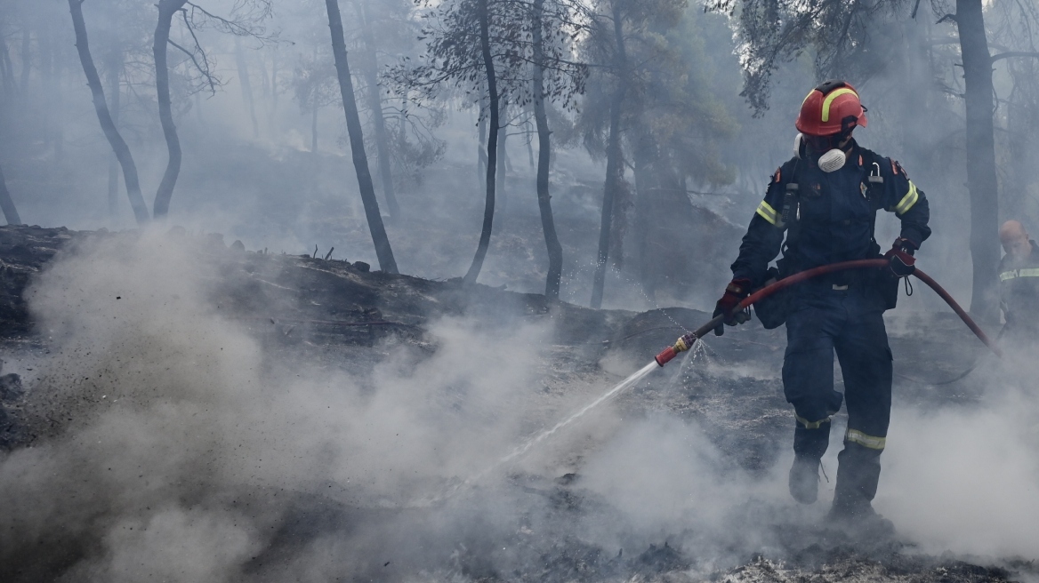 Αντιπυρική περίοδος: Αυξημένα φέτος τα εναέρια μέσα στην Πελοπόννησο - Νέα μονάδα δασοκομάντος στην Τρίπολη