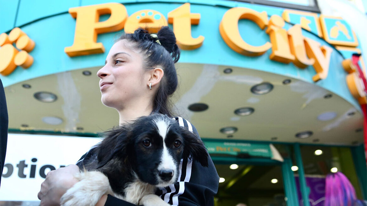 15η Ημέρα Υιοθεσίας Pet City - Topetmou.gr: Ένα σπίτι μια αγκαλιά για κάθε αδεσποτάκι