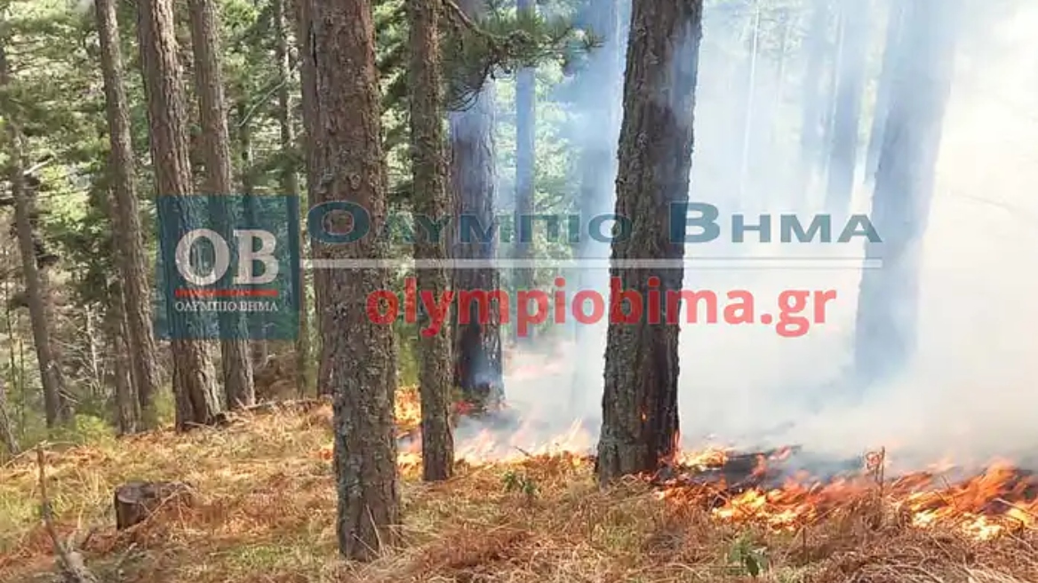 Φωτιά στα Πιέρια Όρη - Δεν απειλεί κατοικημένη περιοχή