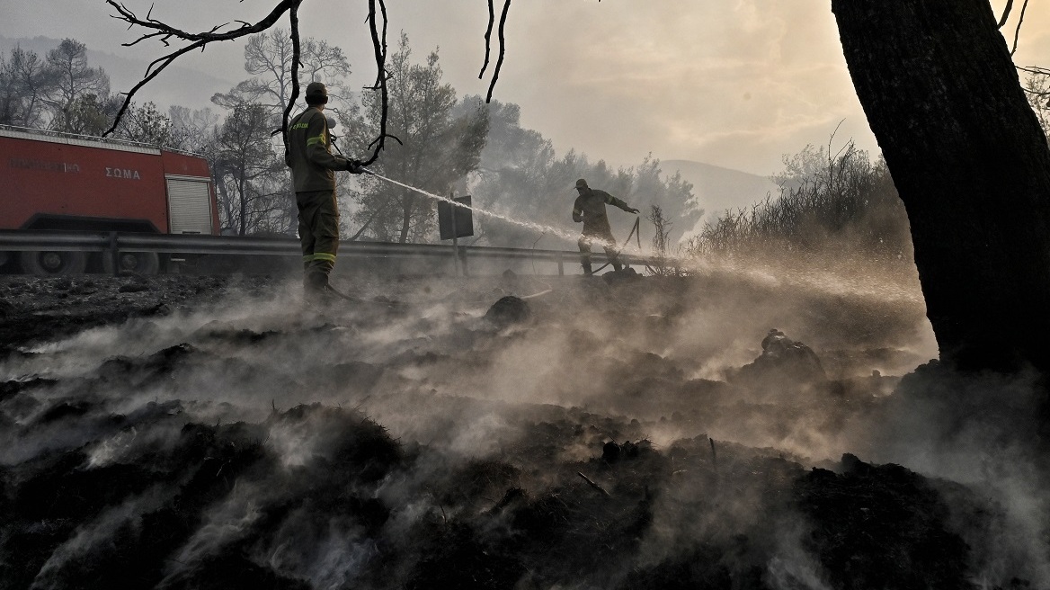 Συνολικά 88 αγροτοδασικές πυρκαγιές το τελευταίο 24ωρο