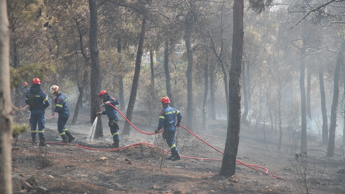 Πυροσβεστική: 47 αγροτοδασικές πυρκαγιές σε ένα 24ωρο - Δύο συλλήψεις σε Πόρτο Ράφτη και Καλαμάτα