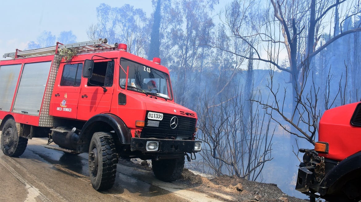 Συνολικά 73 αγροτοδασικές πυρκαγιές το τελευταίο 24ωρο στη χώρα