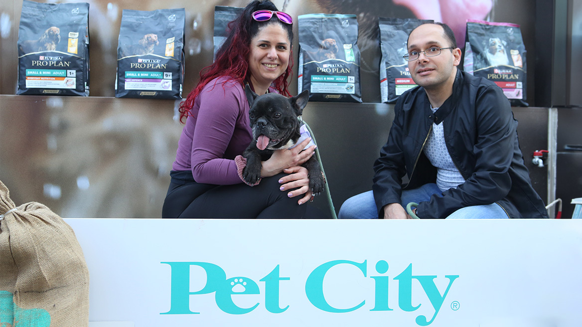 16η Ημέρα Υιοθεσίας Pet City - topetmou.gr: Δέκα σκυλάκια βρήκαν σήμερα ένα παντοτινό σπίτι