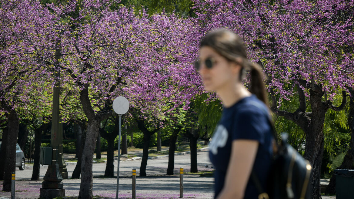 Ο καιρός το Πάσχα: Πρόγνωση μέρα - μέρα για τη Μεγάλη Εβδομάδα - Πού και πότε θα βρέξει