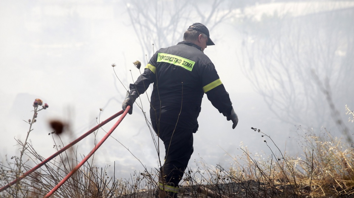 Φιλιατρά: Στη φυλακή και με πρόστιμο €2.148 ο άνδρας που έβαλε φωτιά σε ξερά χόρτα - Δεν θα επιδείξουμε απολύτως καμία ανοχή, λέει ο Κικίλιας